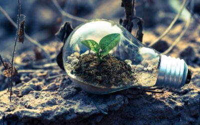 La nueva era de la sostenibilidad en comunidades. ¿Cómo mejorar tu huella de carbono?