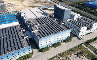 Paneles solares compartidos: cómo funcionan, cuánto cuestan y cuándo salen rentables